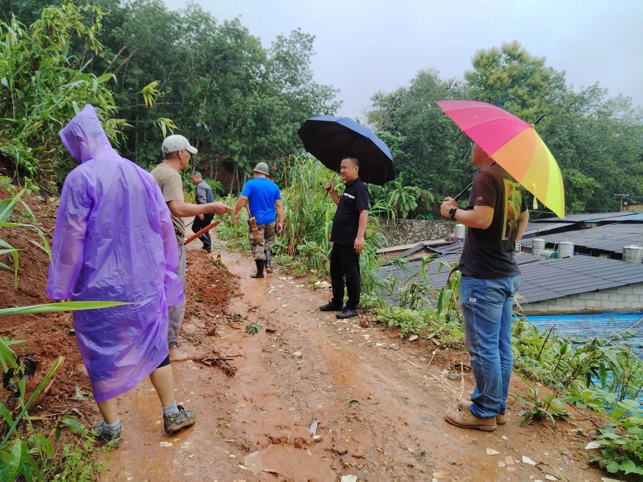 景洪農場有限責任公司以(yǐ)“雨”爲(wéi / wèi)令，以(yǐ)“迅”應“汛”，共同築牢汛期“安全網”