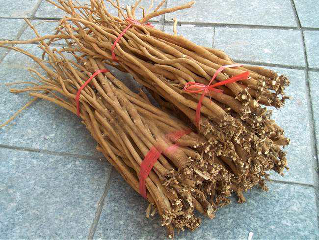 千斤拔精油